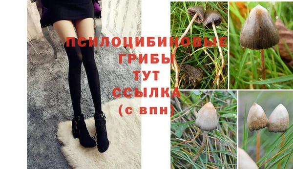 прущая мука Надым