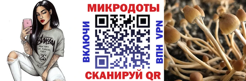 Галлюциногенные грибы мицелий  Купить закладки  Мантурово 